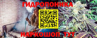 кристаллы Дубна