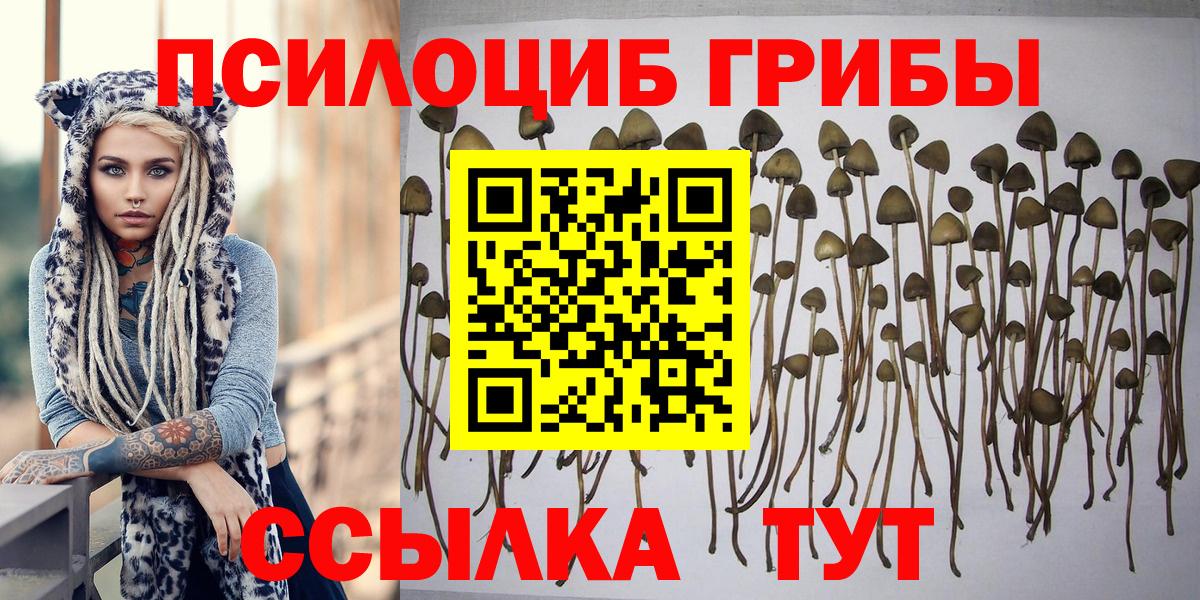Псилоцибиновые грибы Magic Shrooms  Вход с VPN  Люберцы 