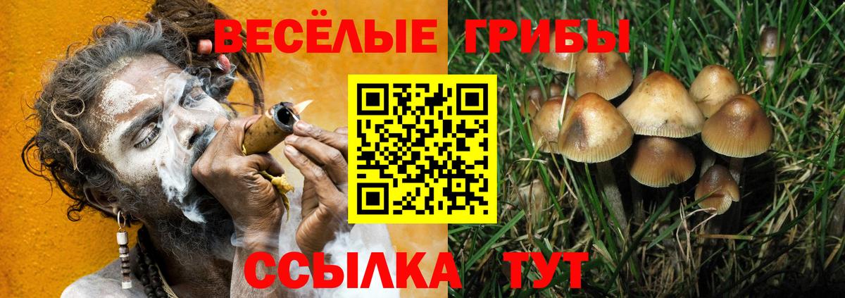 Галлюциногенные грибы GOLDEN TEACHER Люберцы